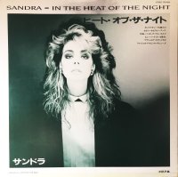 IN THE HEAT OF THE NIGHT [12"] PROMO